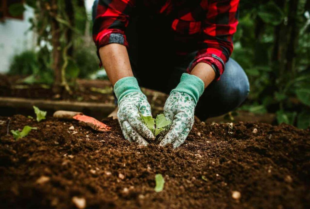 25-Non-Boring-Free-Time-Activities-for-Students-Treasure-planting