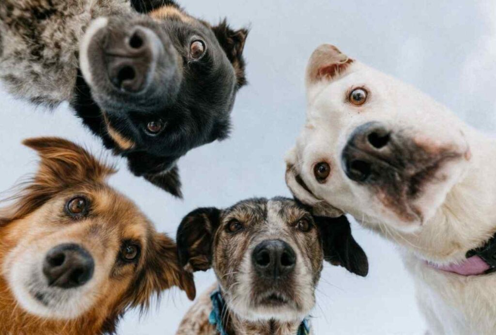 5-Biggest-Black-Friday-Scams-That-Surged-This-Year-low-quality