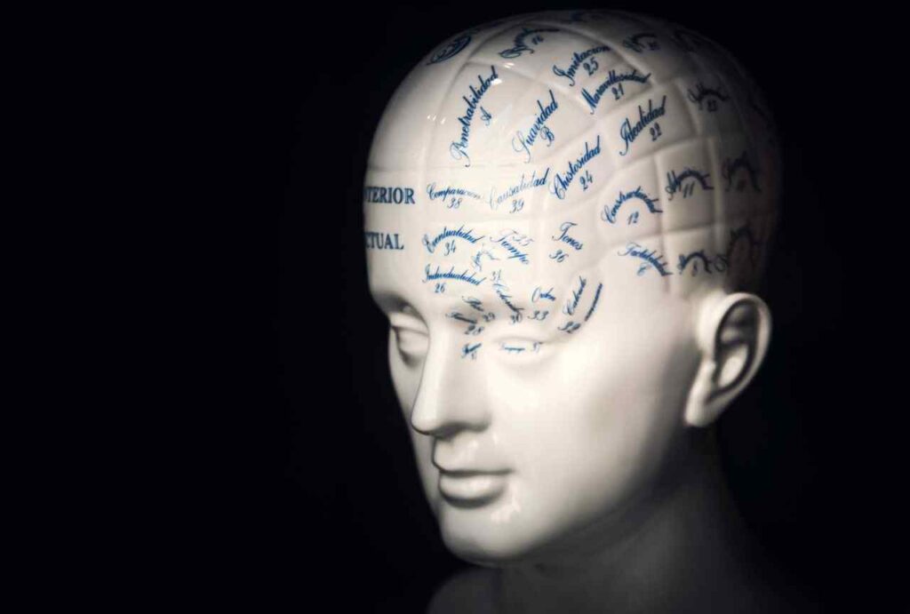 Subjects-That-Were-Once-Taught-in-Schools-But-Don-t-Exist-Anymore-Phrenology