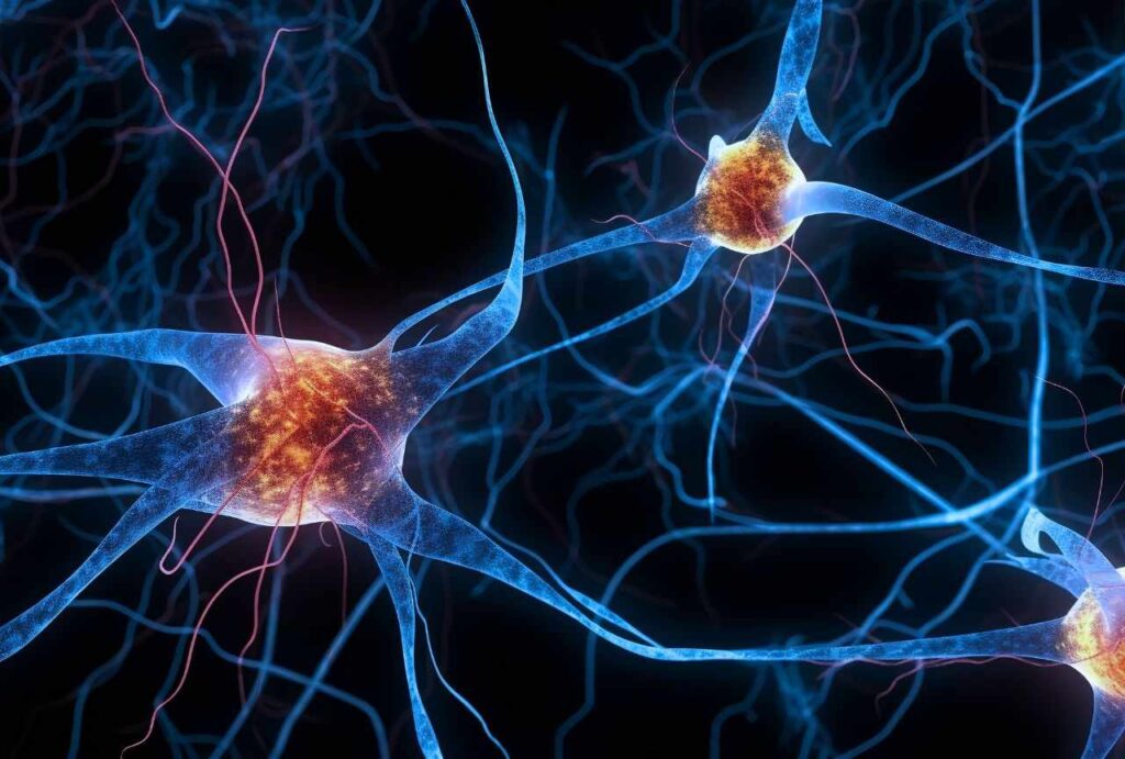 Does-The-Brain-Song-Work-A-Complete-Review-what-is-it