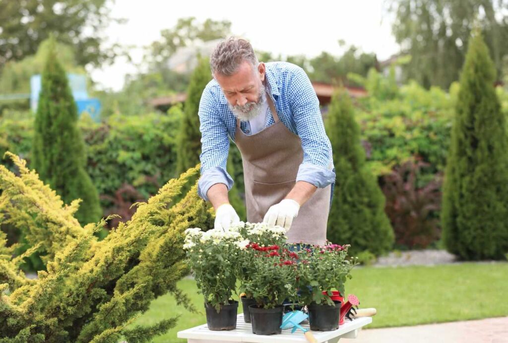 10-Best-Jobs-for-Seniors-Over-60-plant